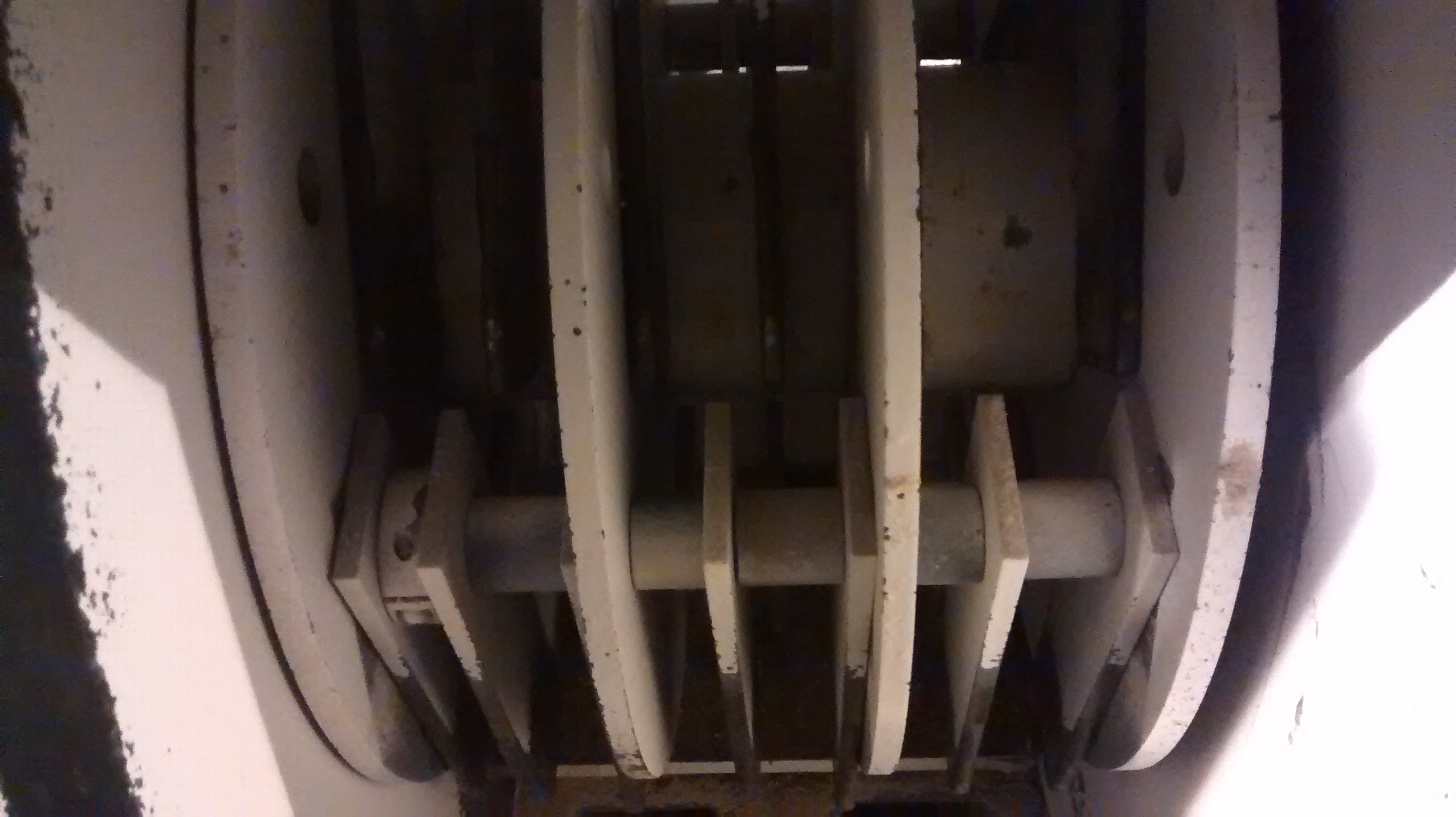 IMG_20190314_101948598