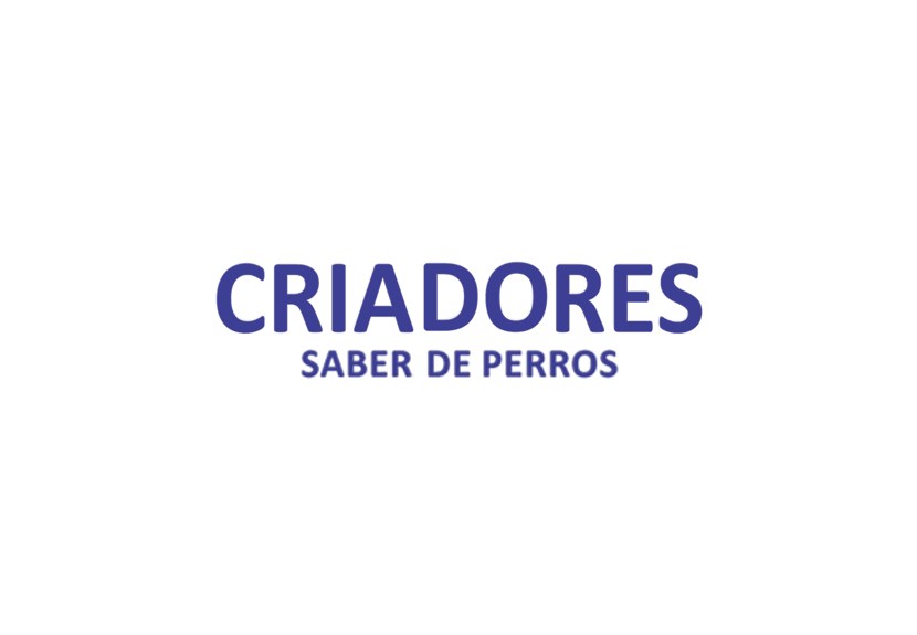 Criadores (Metrive)