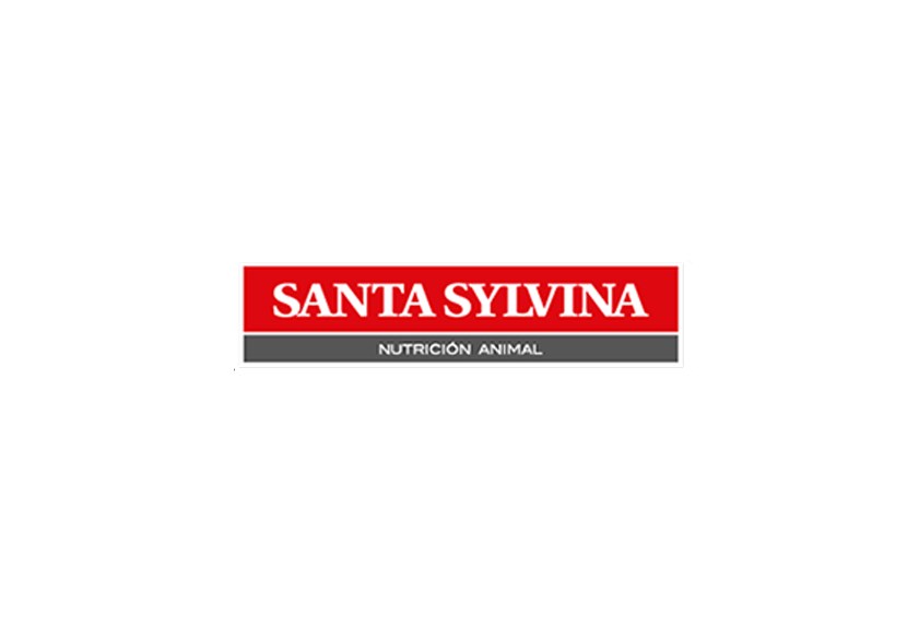 Santa Sylvina